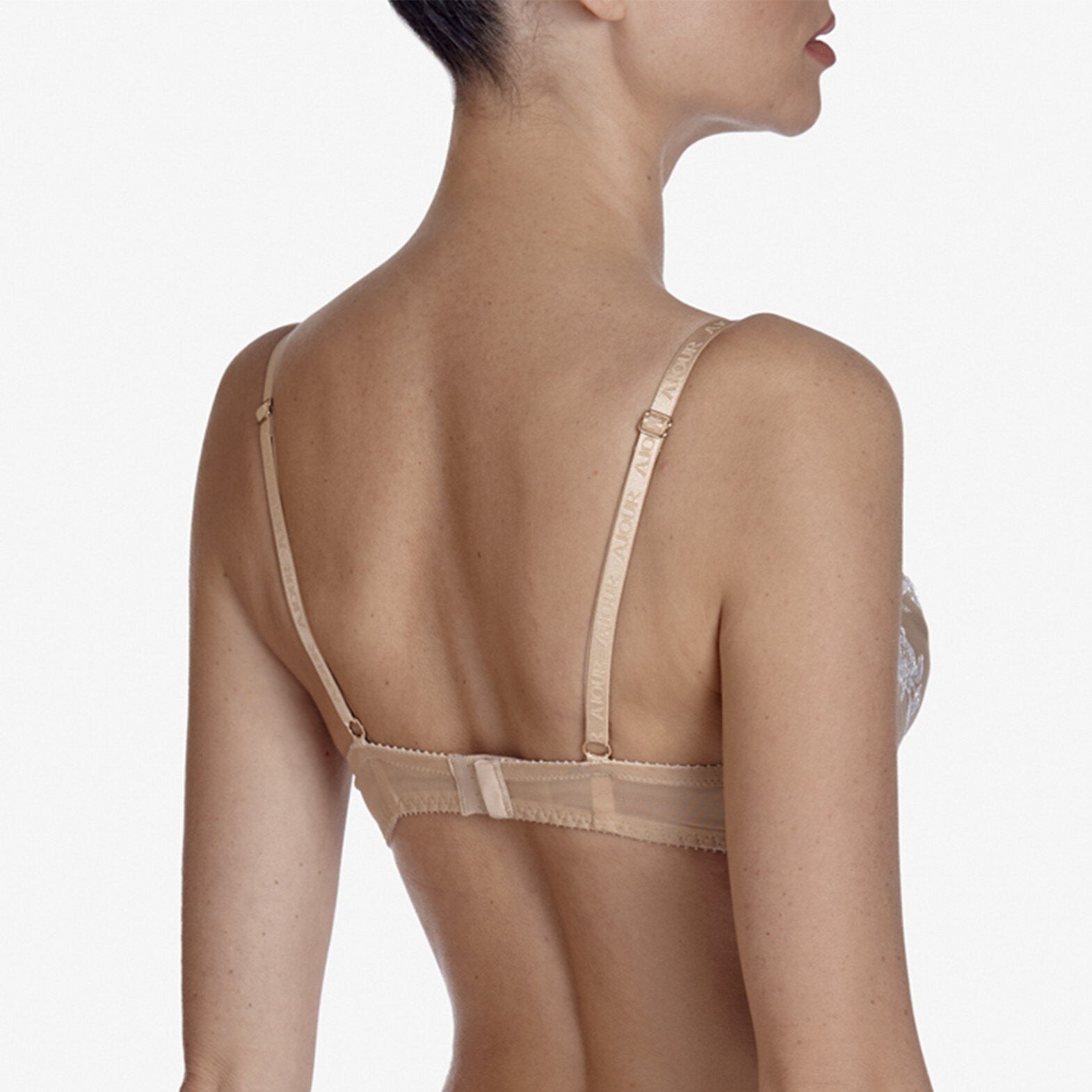 TIRAMISU BM 7(d39a6172-cc65-11ec-8a93-00155d004615) photo 3