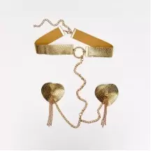Set of collar and nipple pads(9320ccbd-4340-11ef-9a4e-00155d004616) photo 1