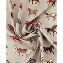 Jockey's Elegy Women's Kerchief(fb69e941-da6b-11f0-b42c-00155d004616) photo 4