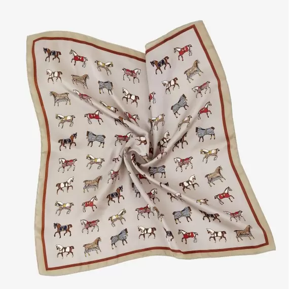 Jockey's Elegy Women's Kerchief(fb69e941-da6b-11f0-b42c-00155d004616) photo 3